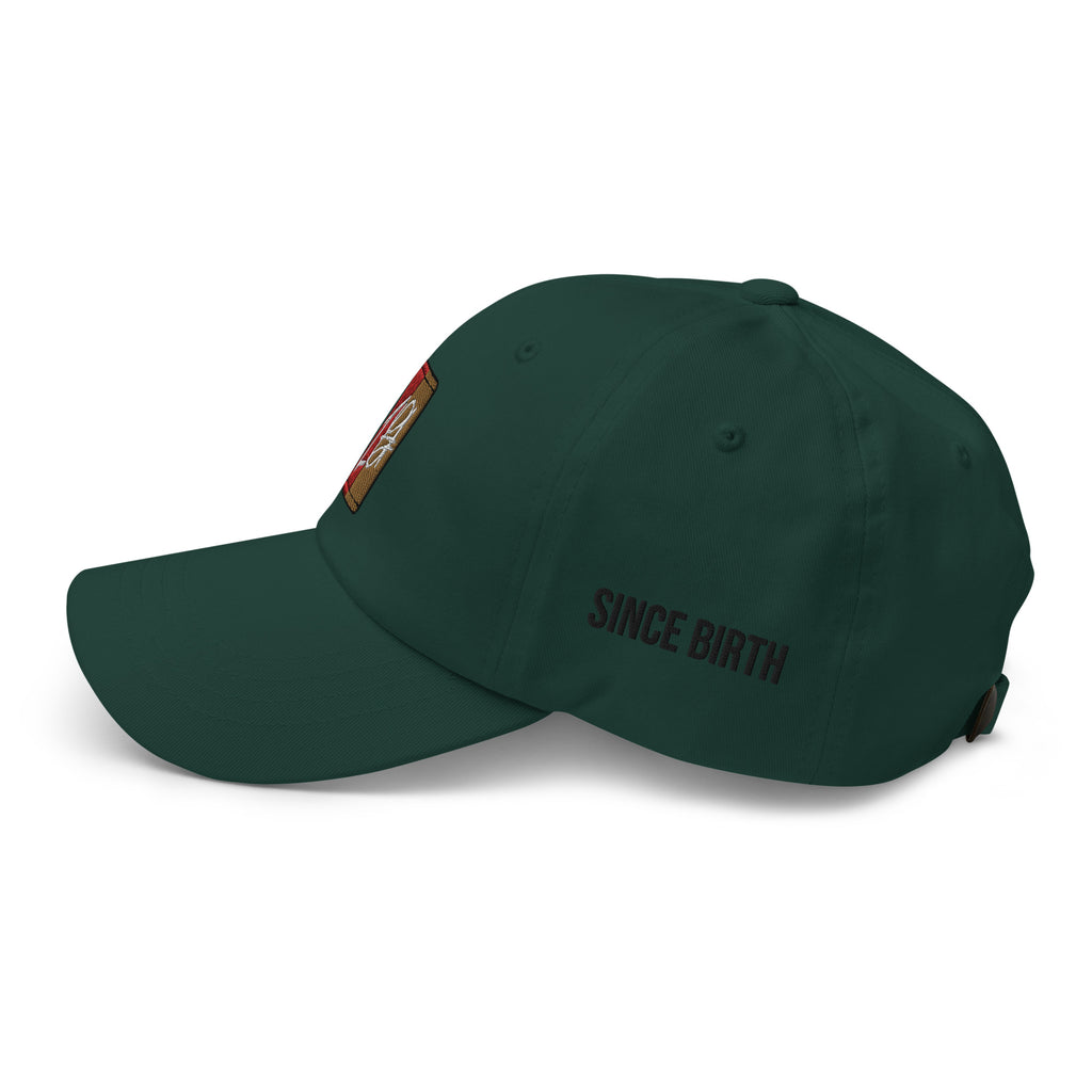 "Green dad hat with a black embroidered brand logo. The hat features a classic design and a comfortable fit, making it a great accessory for any casual outfit. The embroidered logo adds a touch of style and brand recognition, making it a great choice for fans of the brand."